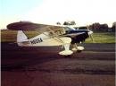 1951 Piper Pacer Airplane for sale