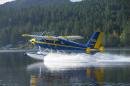 Used Dehavilland Dhc-2t Airplane For Sale