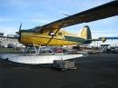 Used Dehavilland Dhc-2 Airplane For Sale
